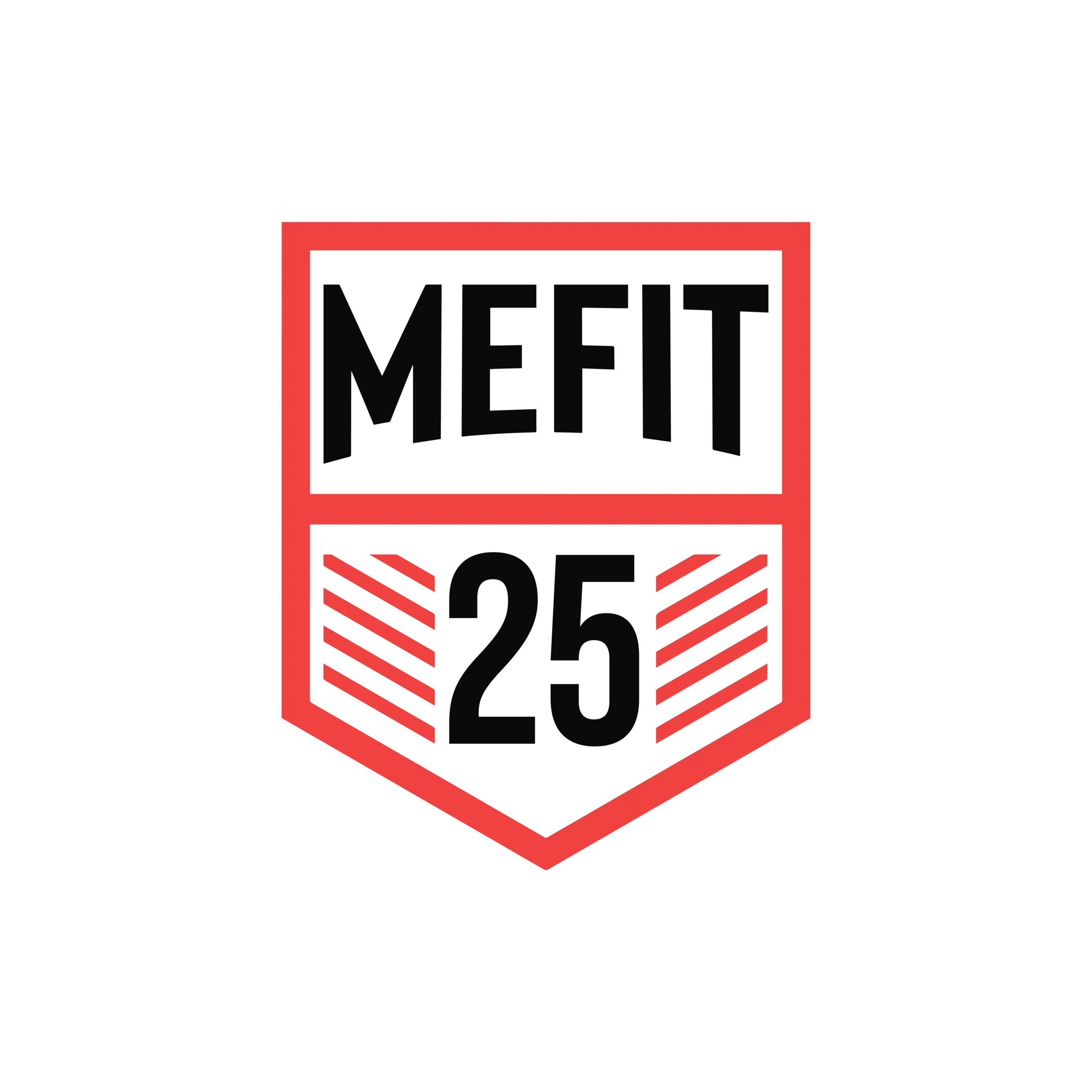 MEFIT Summit 2025