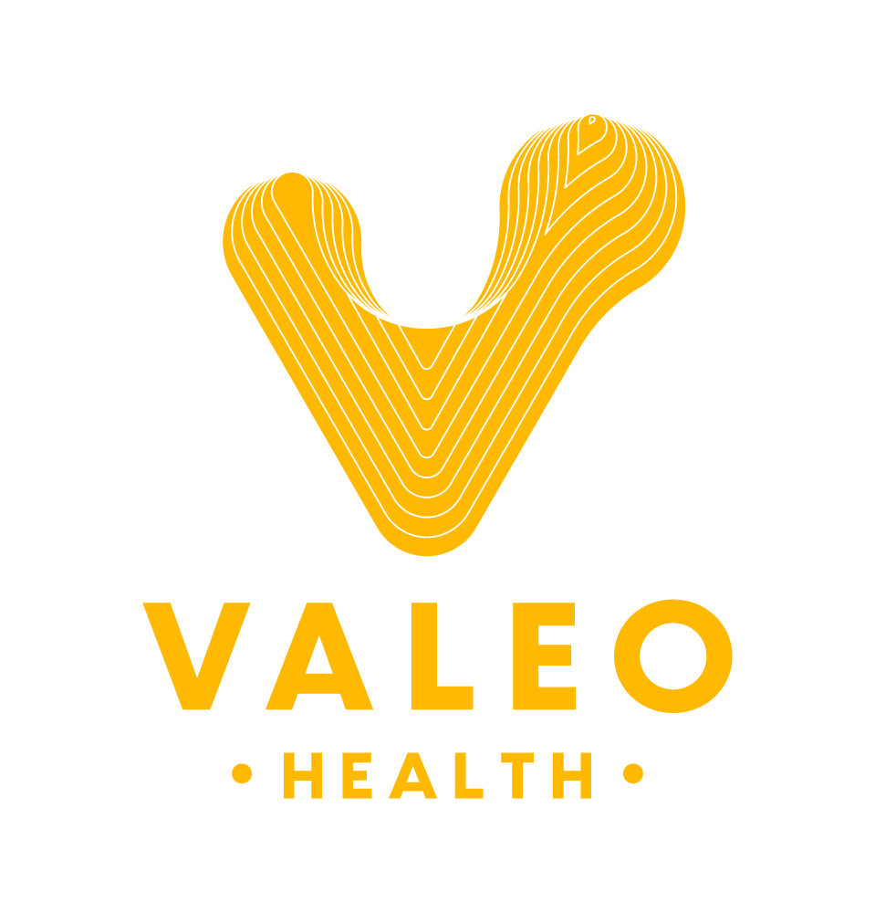 Valeo Yellow 10 - MEFIT Summit